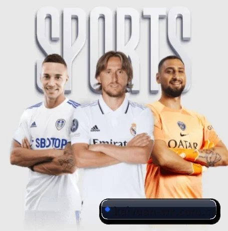 五大服务分区,信息按项目分类 - 多运动项目内容板块 | KAIYUAN GAMES